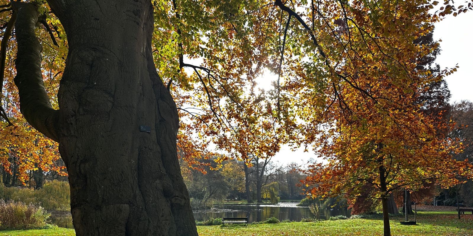 The FuturaGrid manifest